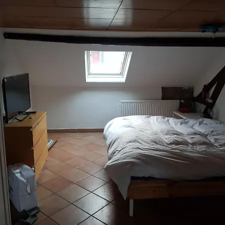 Helsing Habitación en casa particular Esch-sur-Alzette