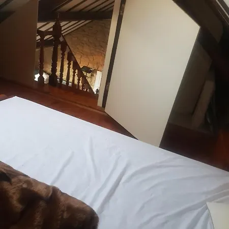 Homestay Helsing *