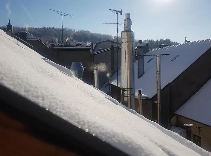 ホームステイ Helsing エシュ＝シュル＝アルゼット