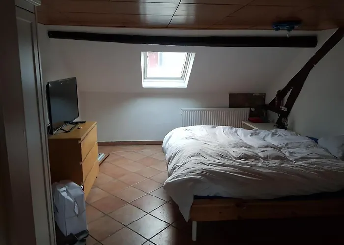 Helsing ホームステイ エシュ＝シュル＝アルゼット