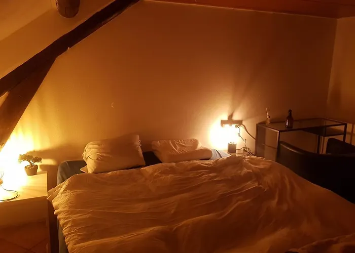 ホームステイ Helsing